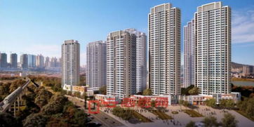 大華時光園一地塊過規(guī) 擬建設(shè)10棟高層住宅及1所幼兒園