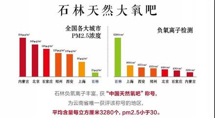 大美云南,旅居石林,凱旋怡景詩意棲息地產品發布會圓滿落幕